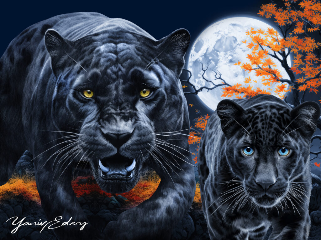 night_panthere - Yaniv Edery